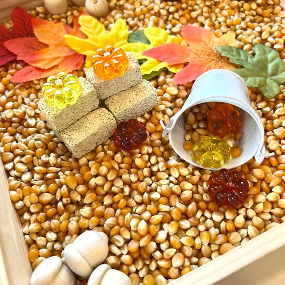 Fall Sensory Bin Kit 🍁 - Picture 2 of 3
